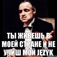 Ты живешь в моей стране и не учиш мой język