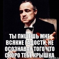 ты пишешь мне всякие гадости, не осознавая того что скоро тебе крышка