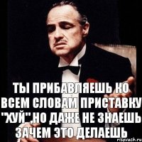 Ты прибавляешь ко всем словам приставку "хуй",но даже не знаешь зачем это делаешь