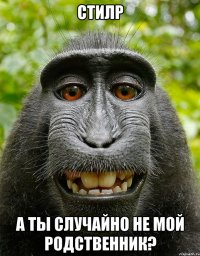 стилр а ты случайно не мой родственник?