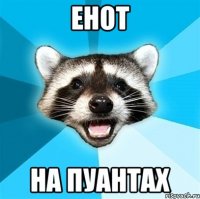 енот на пуантах