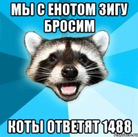 мы с енотом зигу бросим коты ответят 1488