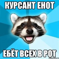 курсант енот ебёт всех в рот