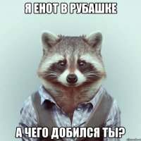 я енот в рубашке а чего добился ты?