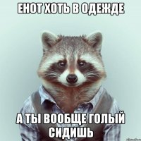 енот хоть в одежде а ты вообще голый сидишь