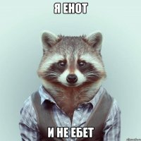 я енот и не ебет