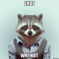 енот whynot