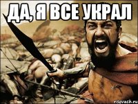 да, я все украл 