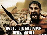  на стороне mediation проблем нет