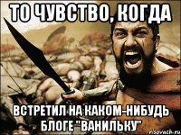 то чувство, когда встретил на каком-нибудь блоге "ванильку"