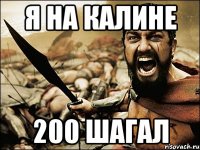 я на калине 200 шагал