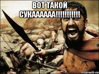 вот такой сукаааааа!!! 