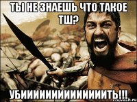 ты не знаешь что такое тш? убиииииииииииииить!!!