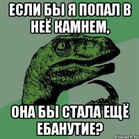 если бы я попал в неё камнем, она бы стала ещё ебанутие?