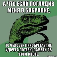 а что если погладив меня в бобровке, то человек приобретает не удачу,а потерю памяти об этом месте.