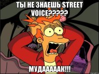 ты не знаешь strееt vоicе??? мудааааак!!!