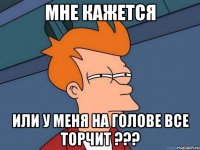 мне кажется или у меня на голове все торчит ???