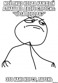 моё лицо когда каждый алкаш во дворе спросит: "чё за порода?" это кане корсо, парень