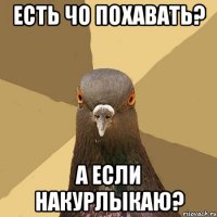 есть чо похавать? а если накурлыкаю?