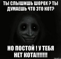 ты слышишь шорох ? ты думаешь что это кот? но постой ! у тебя нет кота!!!