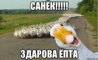 санёк!!! здарова ёпта