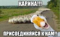 карина!!! присоединяйся к нам!!