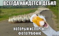 всегда найдется дебил который испортит фотографию