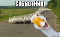 субботник! 