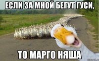 если за мной бегут гуси, то марго няша