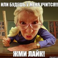 Жми лайк! Или будешь у меня учится!!