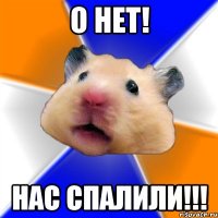 о нет! нас спалили!!!