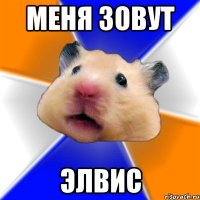 меня зовут элвис