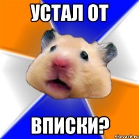 устал от вписки?