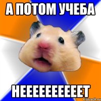 а потом учеба неееееееееет