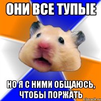 они все тупые но я с ними общаюсь, чтобы поржать