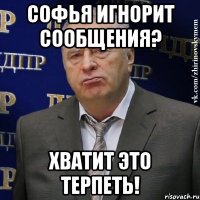 софья игнорит сообщения? хватит это терпеть!