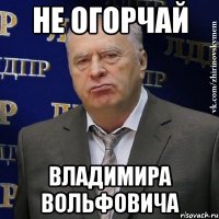 не огорчай владимира вольфовича