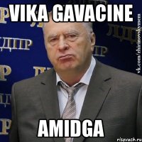 vika gavacine amidga