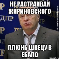 не растраивай жириновского плюнь швецу в ебало