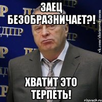 заец безобразничает?! хватит это терпеть!