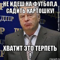 не идеш на футбол,а садить картошку! хватит это терпеть !