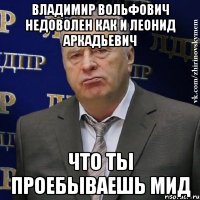 владимир вольфович недоволен как и леонид аркадьевич что ты проебываешь мид