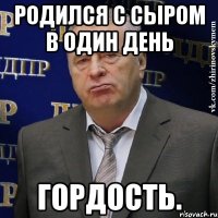 родился с сыром в один день гордость.