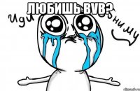 любишь bvb? 