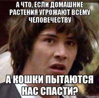 а что, если домашние растения угрожают всему человечеству а кошки пытаются нас спасти?