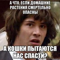 а что, если домашние растения смертельно опасны а кошки пытаются нас спасти?