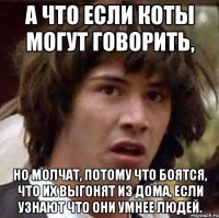 а что если коты могут говорить, но молчат, потому что боятся, что их выгонят из дома, если узнают что они умнее людей.