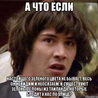 а что если настоящего зеленого цвета не бывает, весь он невидим и неосязаем, и существуют зелёные слоны из таиланда, которые бродят у нас по улице?