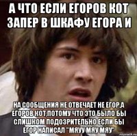 а что если егоров кот запер в шкафу егора и на сообщения не отвечает не егор,а егоров кот,потому что это было бы слишком подозрительно если бы егор написал "мяуу мяу мяу"