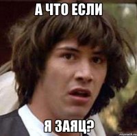 а что если я заяц?